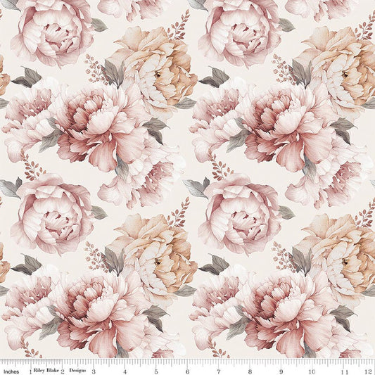 Daybreak on the Prairie ~ Peonies ~ CD17680 ~ Cream