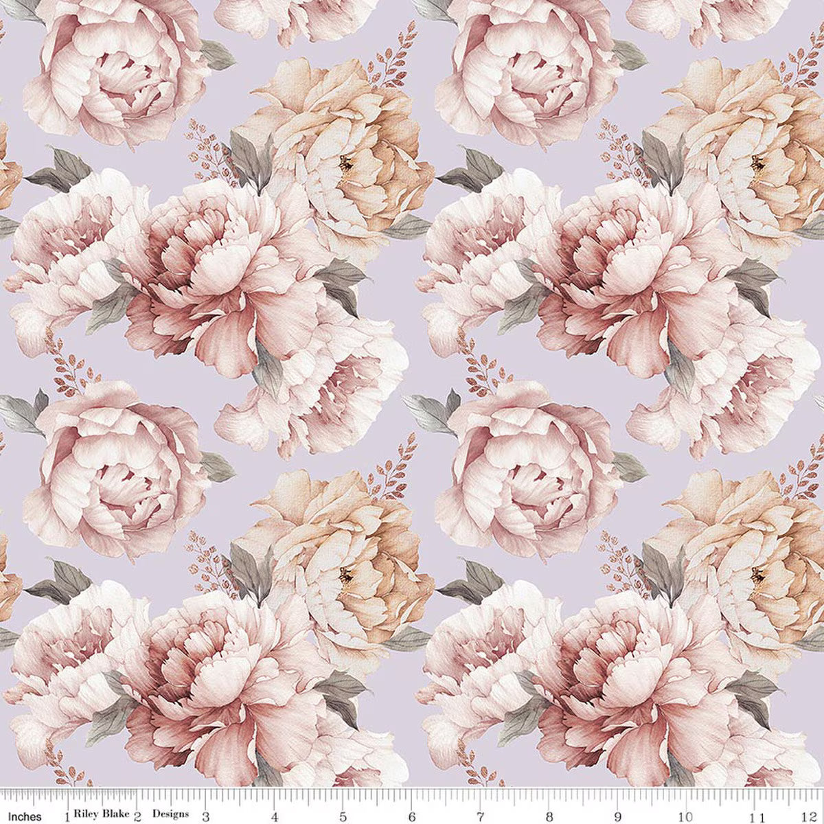Daybreak on the Prairie ~ Peonies ~ CD17680 ~ Purple