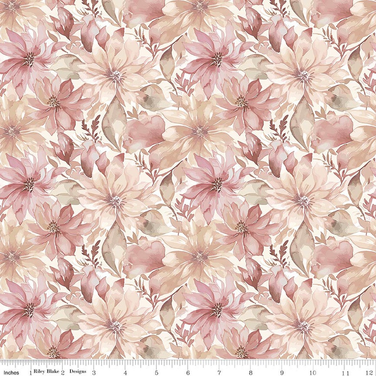 Daybreak on the Prairie ~ Floral ~ CD17681 ~ Cream