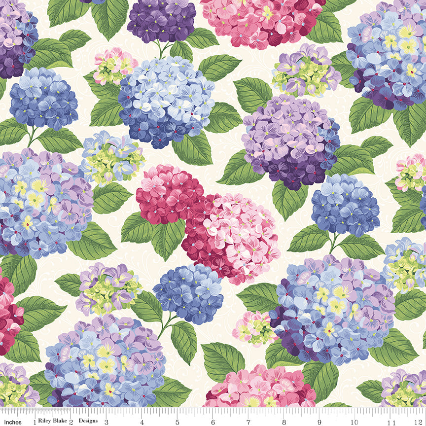 Hydrangeas in the Garden ~ Main ~ CPL16830-MULTI
