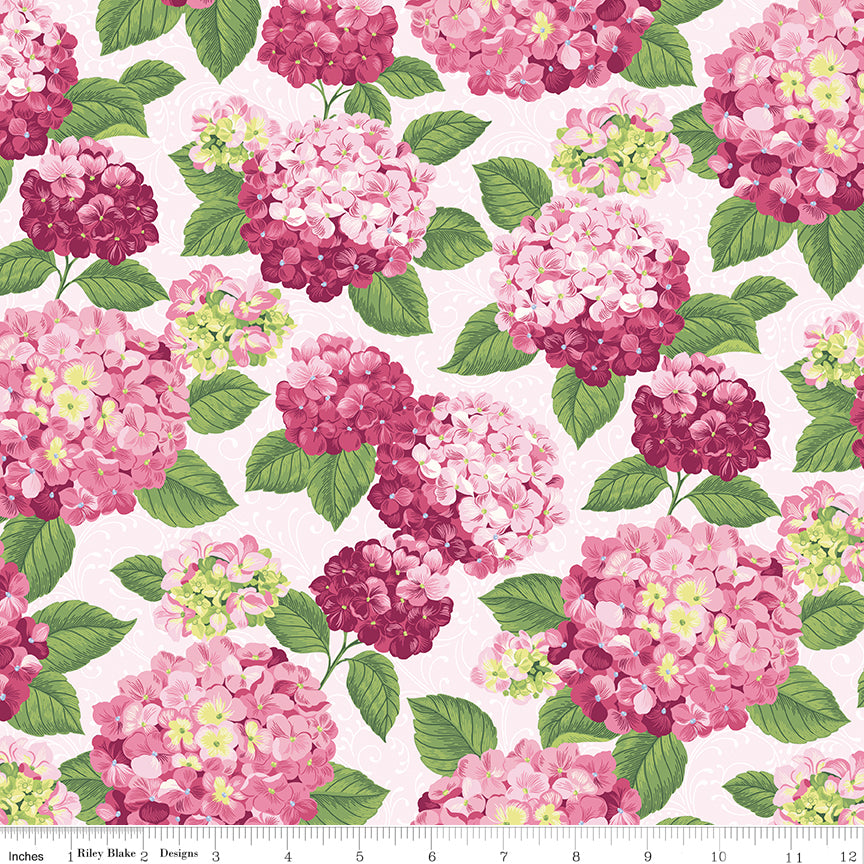Hydrangeas in the Garden ~ Main ~ CPL16830-PINK