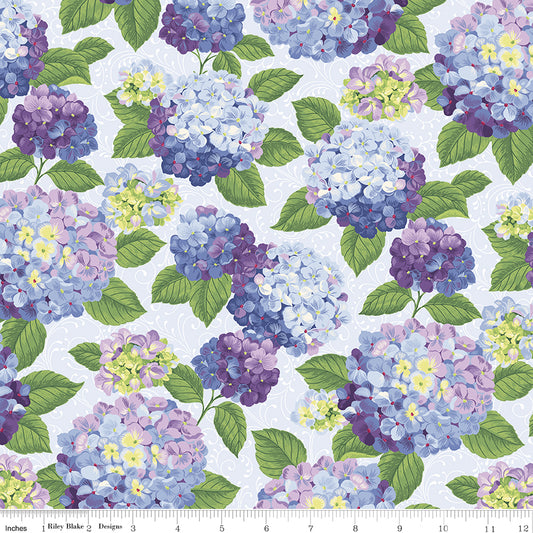 Hydrangeas in the Garden ~ Main ~ CPL16830-POWDER