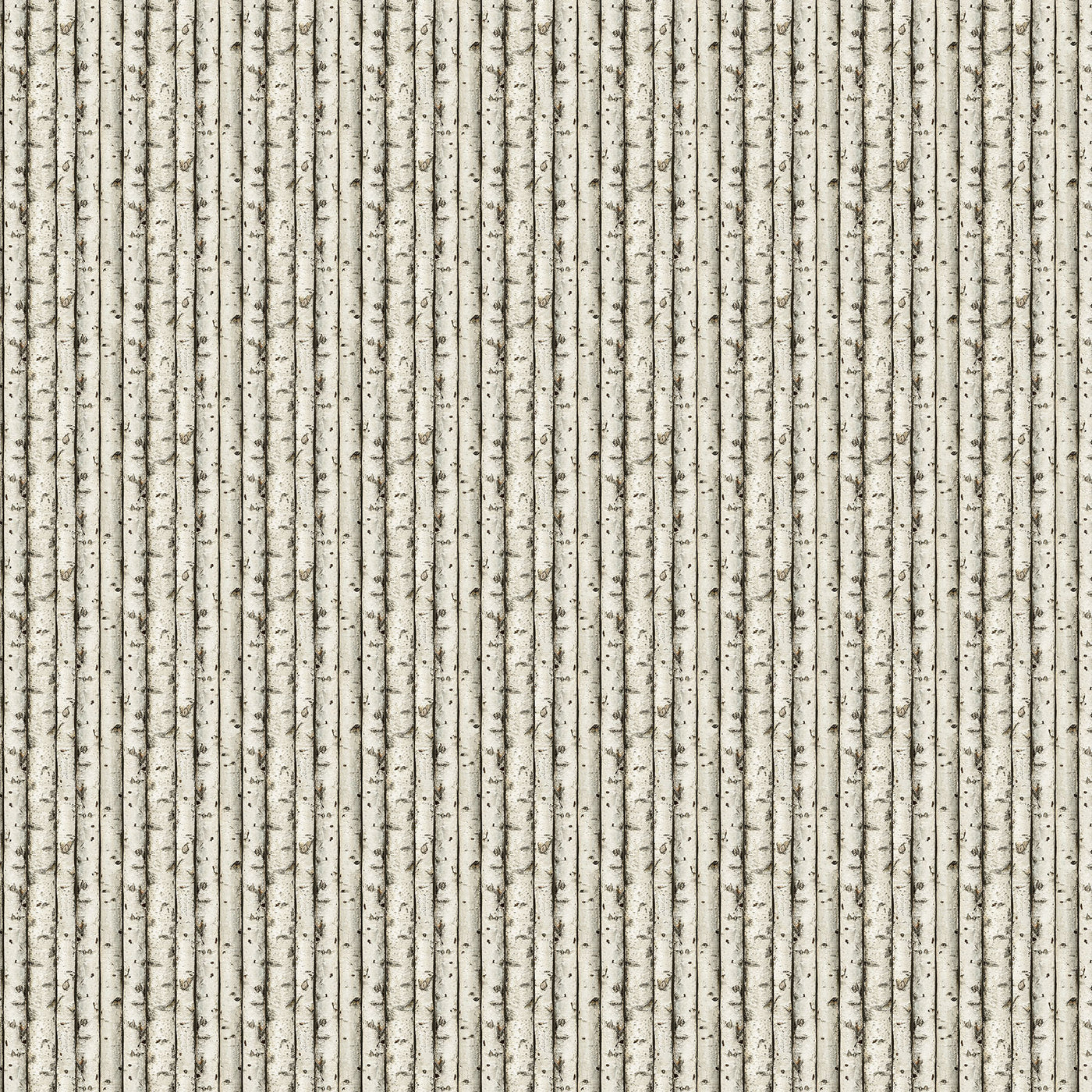 Naturescapes Wilderness ~ Birch Logs ~ DP27792-12 Beige Multi