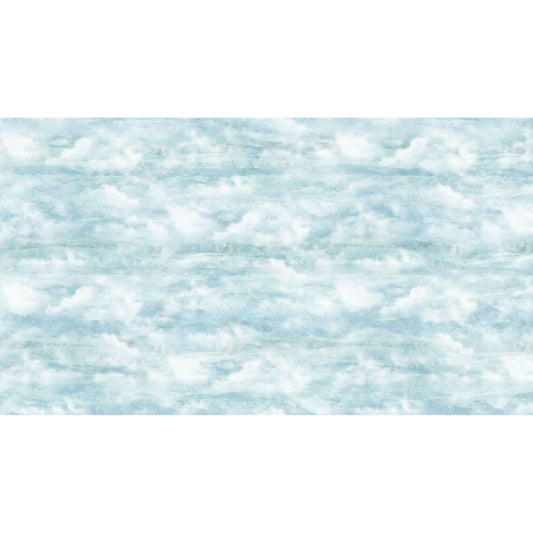 Smooth Sailing ~ Clouds ~ DP28910-42 Light Blue