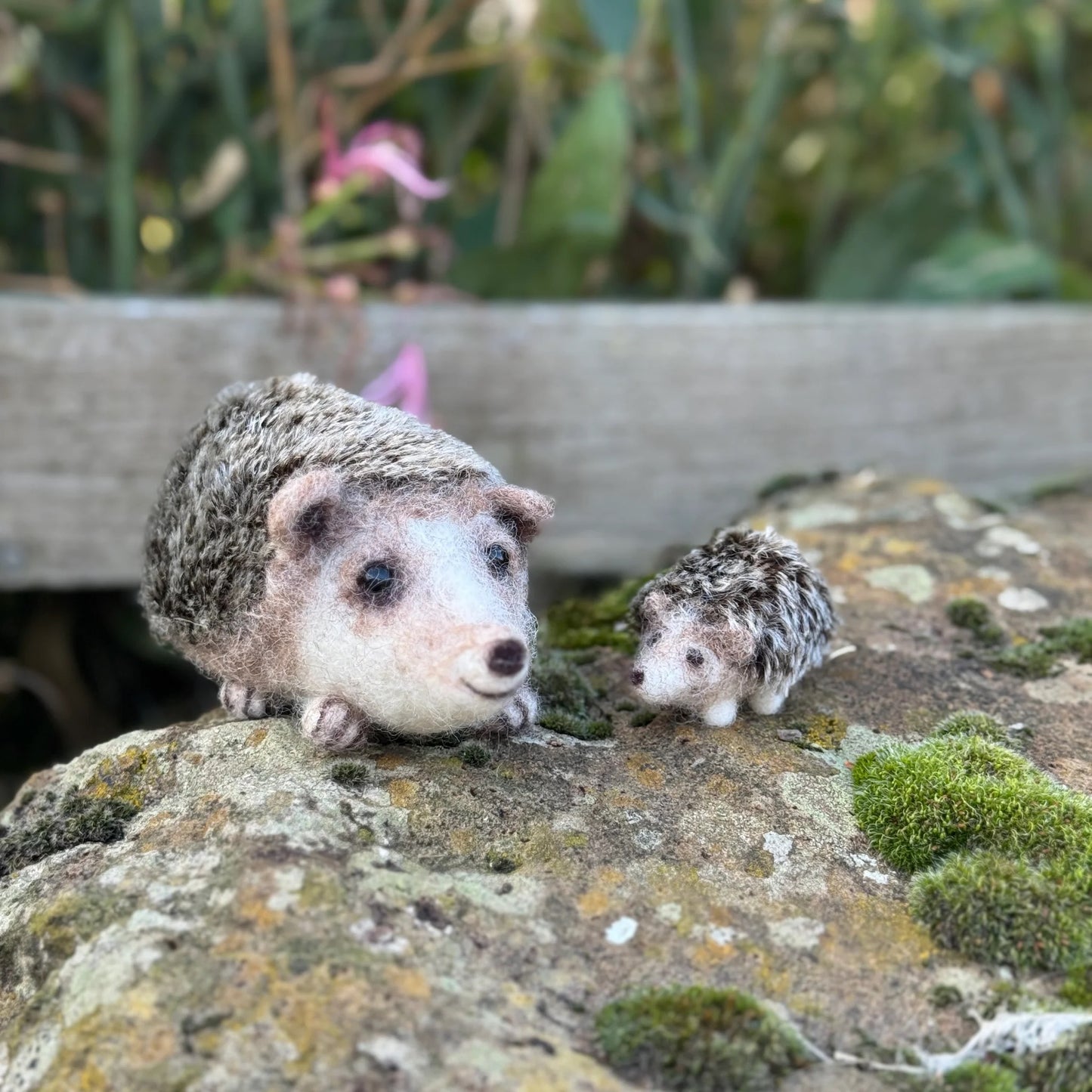 The Crafty Kit Company | Happy Hedgehogs Needle Felting Kit