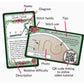 Jessica Long Embroidery | Foundation Deck Companion Cards
