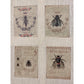 L'Atelier D'Isabelle ~ Vintage Printed Images ~ Bees