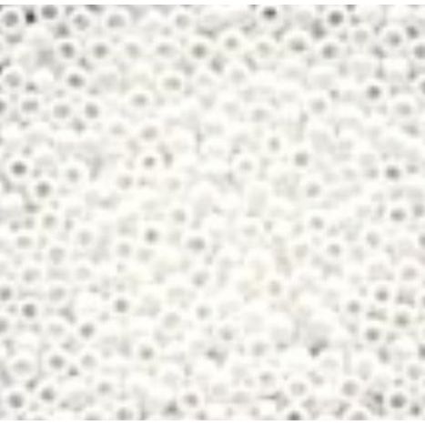 20479 White Seed Beads - Economy