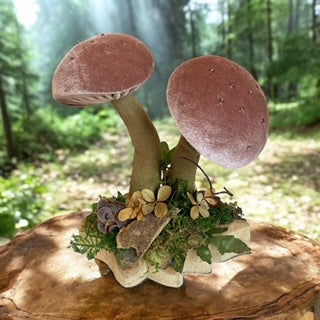 Paxe's Designs | Mushroom