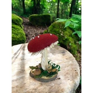 Paxe's Designs | Mushroom