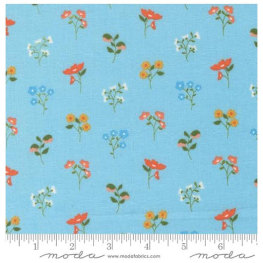 Dainty Meadow ~ Wild Flowers Small 31741 22 Sky