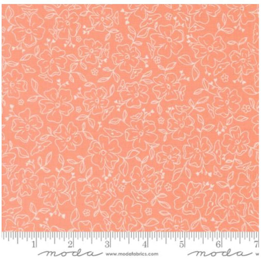 Dainty Meadow ~ Dainty Doodles Small 31743 19 Coral