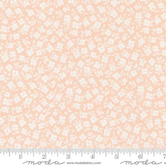 Dainty Meadow ~ Tossed Petals Small 31745 17 Peachy