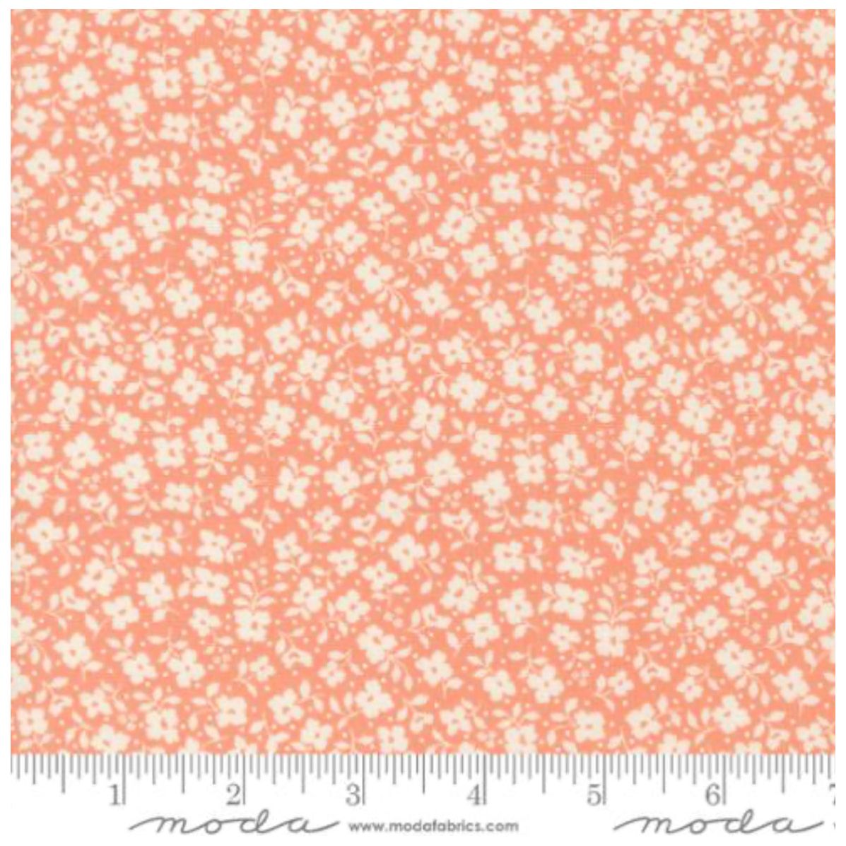 Dainty Meadow ~ Tossed Petals Small 31745 19 Coral