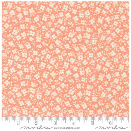 Dainty Meadow ~ Tossed Petals Small 31745 19 Coral