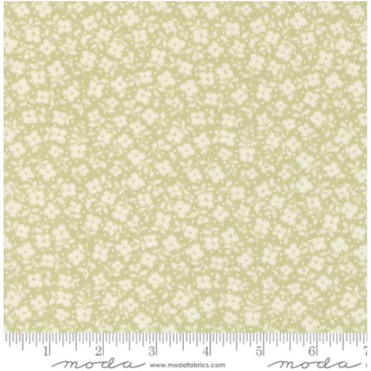 Dainty Meadow ~ Tossed Petals Small 31745 20 Pear