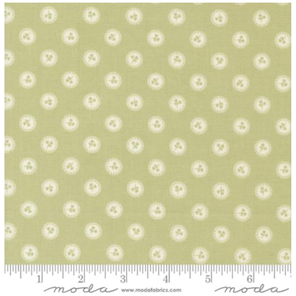 Dainty Meadow ~ Dainty Dot 31746 20 Pear