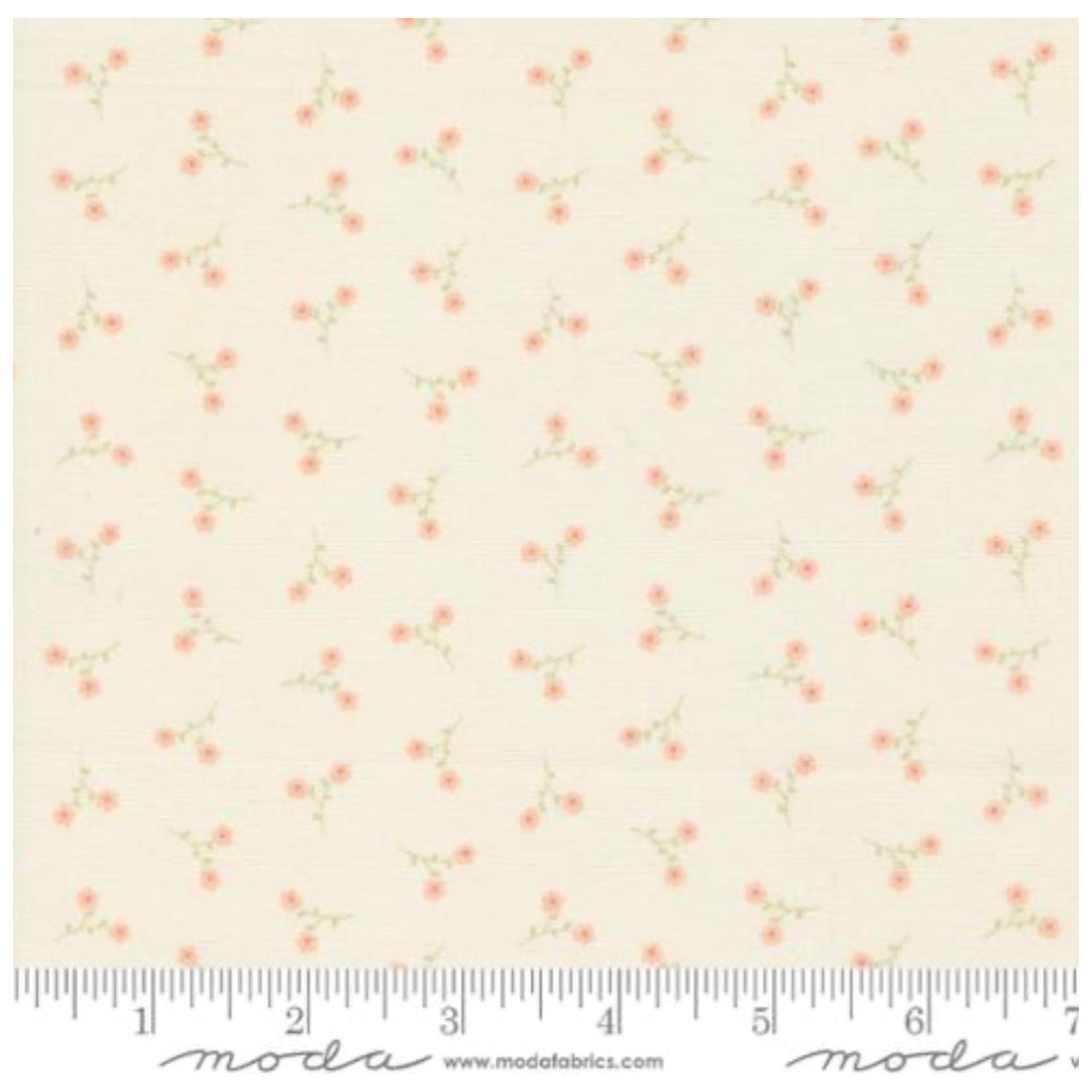 Dainty Meadow ~ Dainty Toss 31749 11 Porcelain