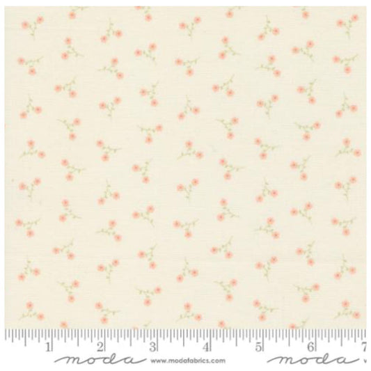 Dainty Meadow ~ Dainty Toss 31749 11 Porcelain