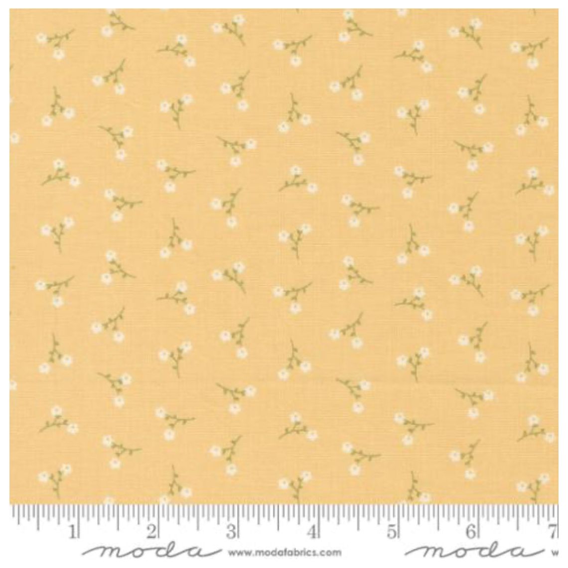 Dainty Meadow ~ Dainty Toss 31749 14 Buttercup