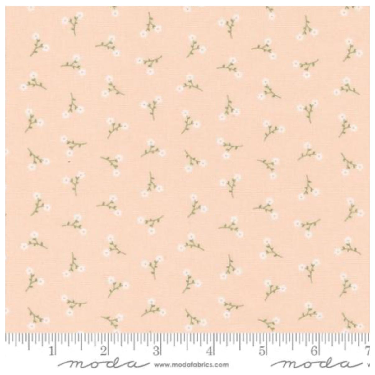 Dainty Meadow ~ Dainty Toss 31749 16 Blush