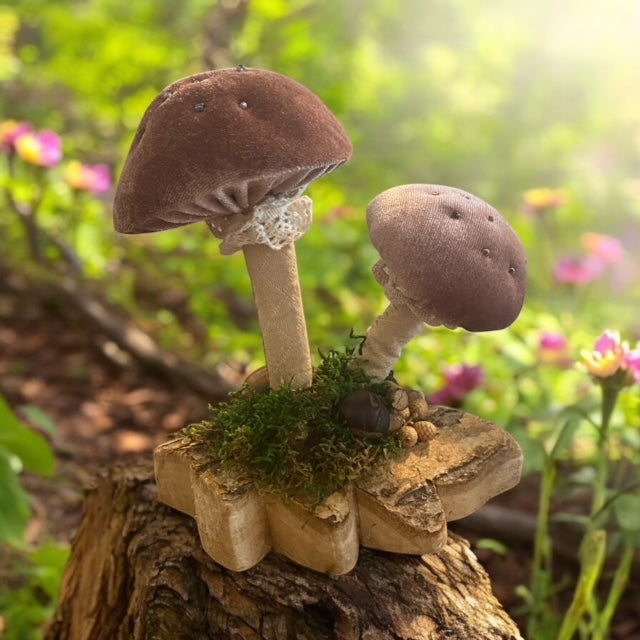 Paxe's Designs | Mushroom