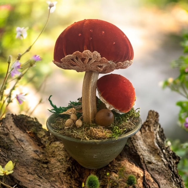 Paxe's Designs | Mushroom