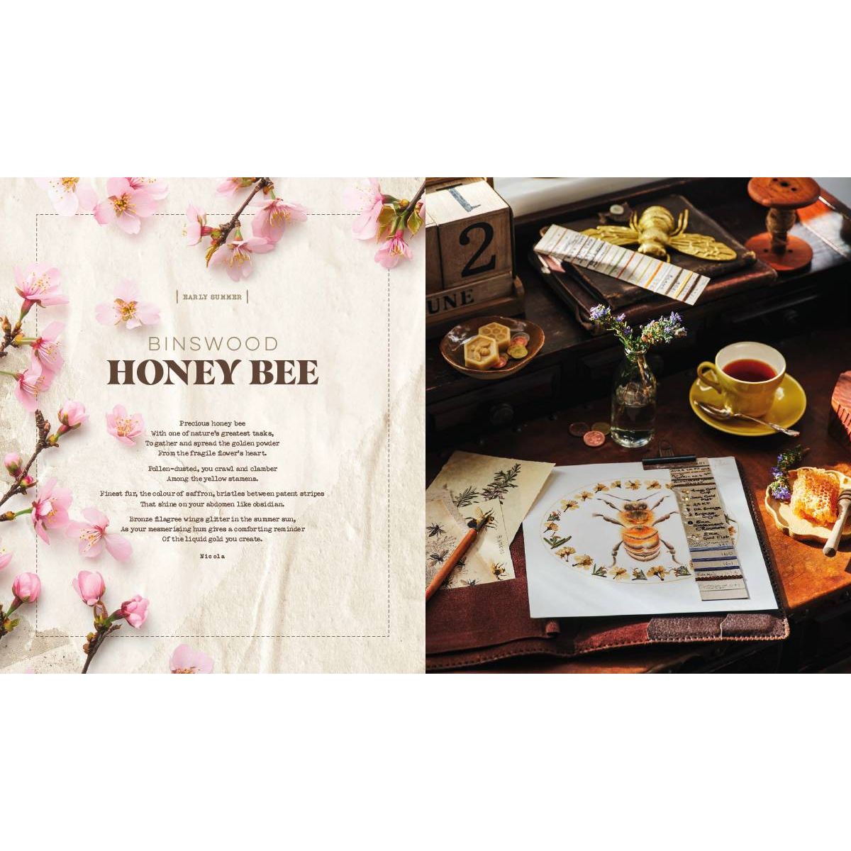 Inspirations | Life In Seasons | Volume 2 - Summer/Autumn