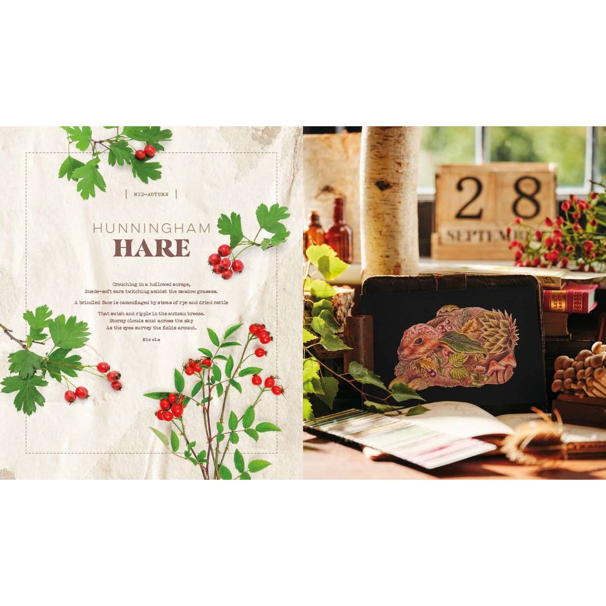 Inspirations | Life In Seasons | Volume 2 - Summer/Autumn