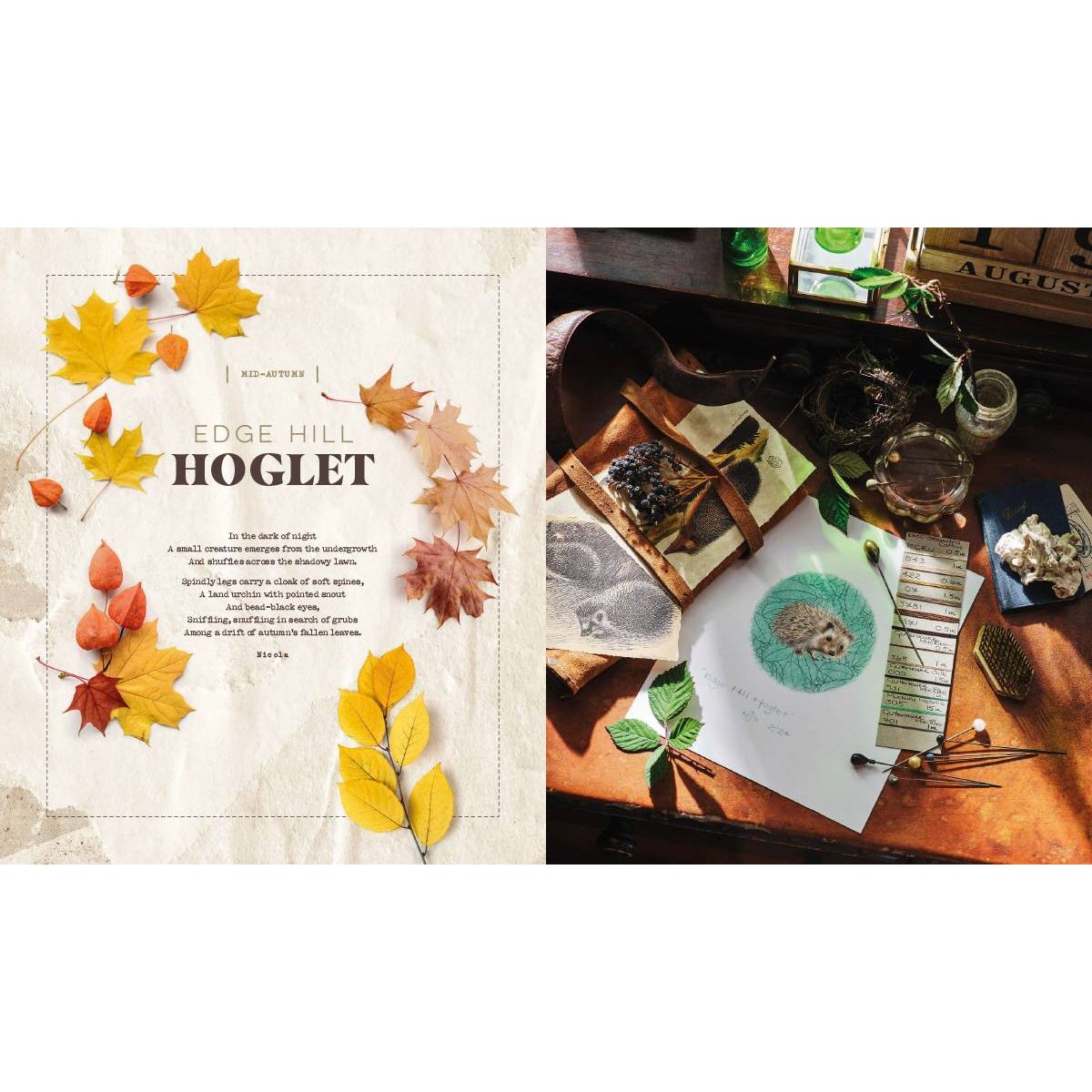 Inspirations | Life In Seasons | Volume 2 - Summer/Autumn