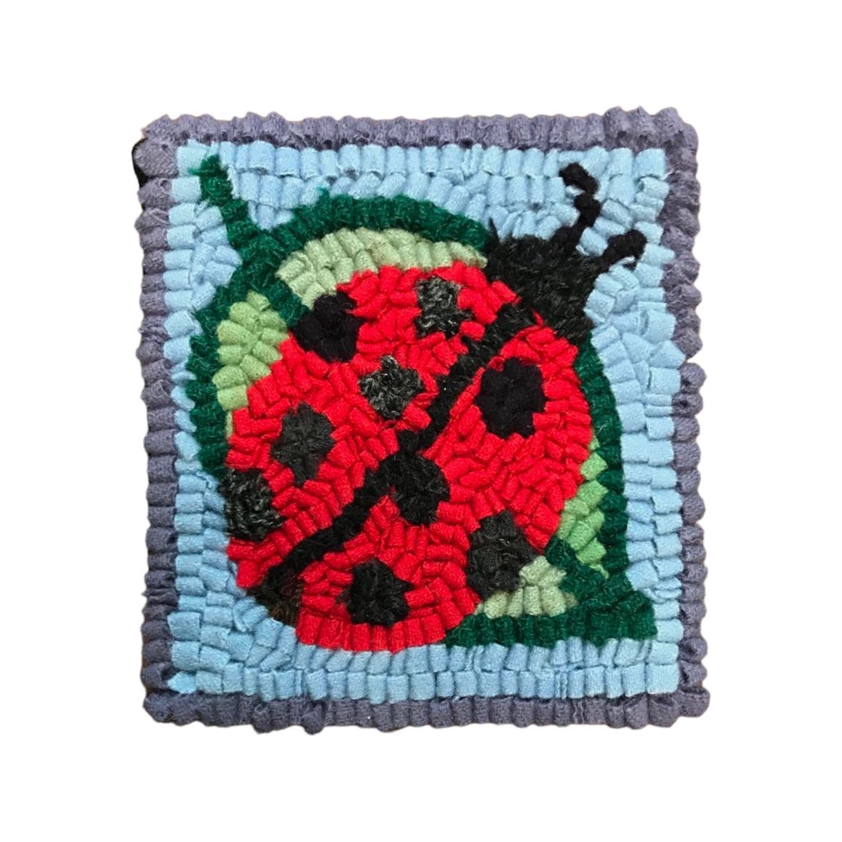 Rug Hooking Kit - Kid Friendly Fiber Art Kit - Ladybug