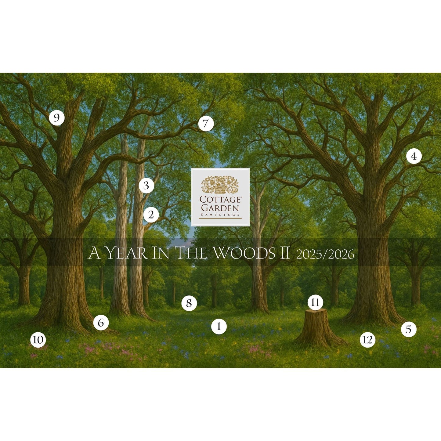 Cottage Garden Samplings | A Year in the Woods Part II