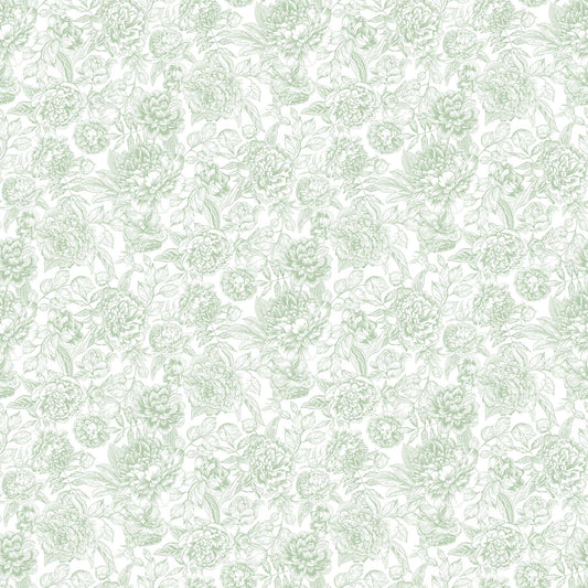 Northcott ~ Blush ~ Floral Toile ~ SP25622-72 Green