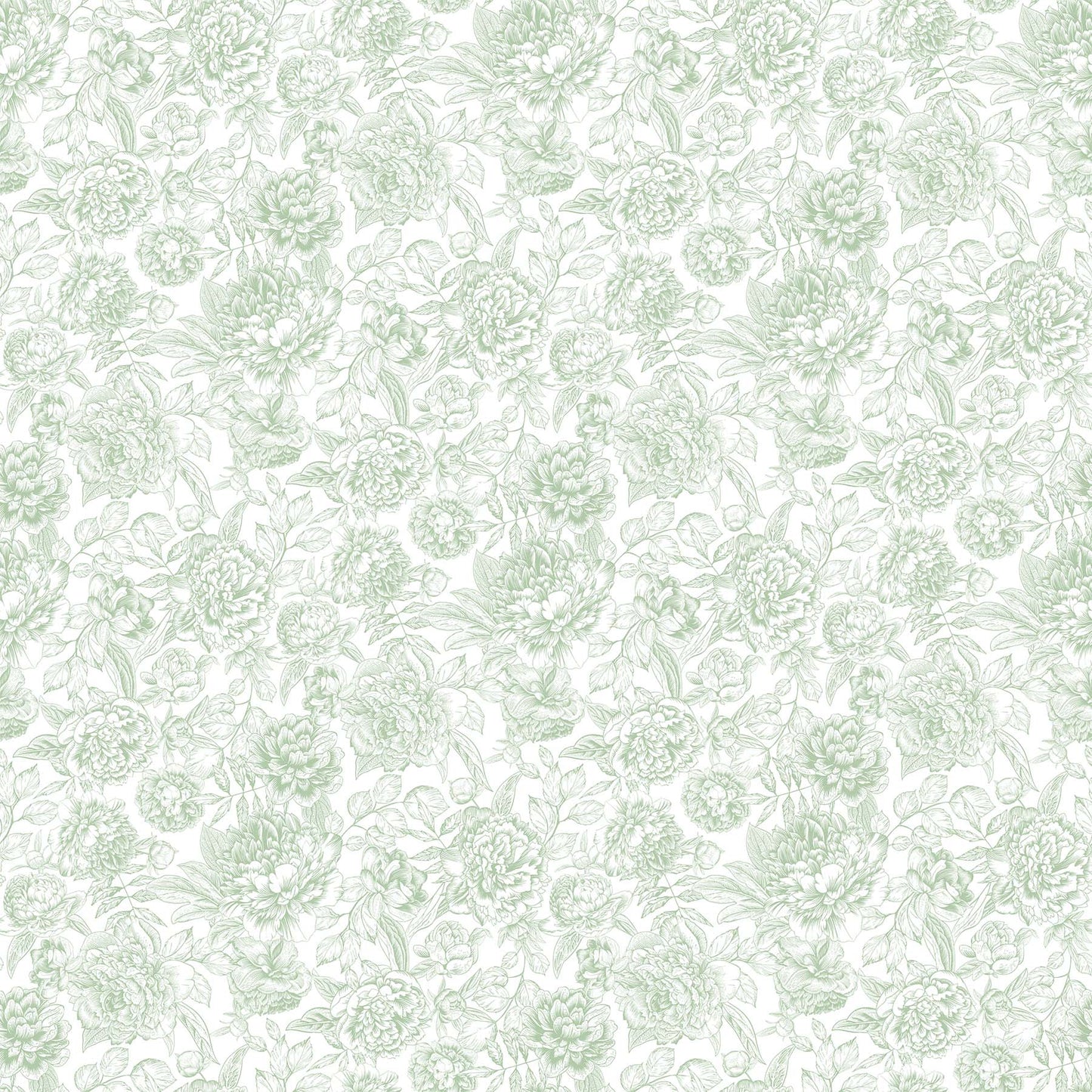 Northcott ~ Blush ~ Floral Toile ~ SP25622-72 Green