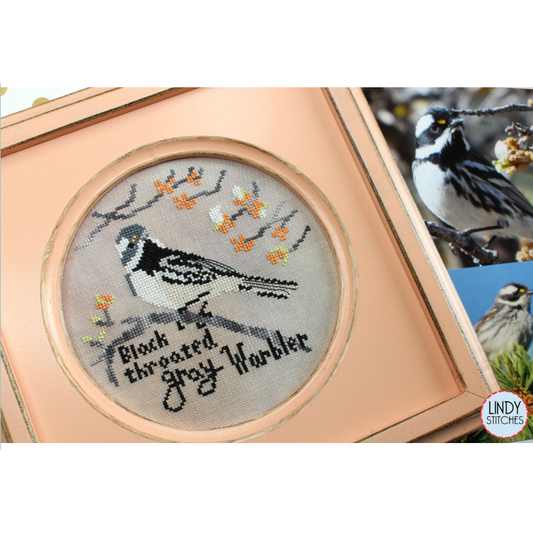 Lindy Stitches ~ Black-Throated Gray Warbler COMING SOON!