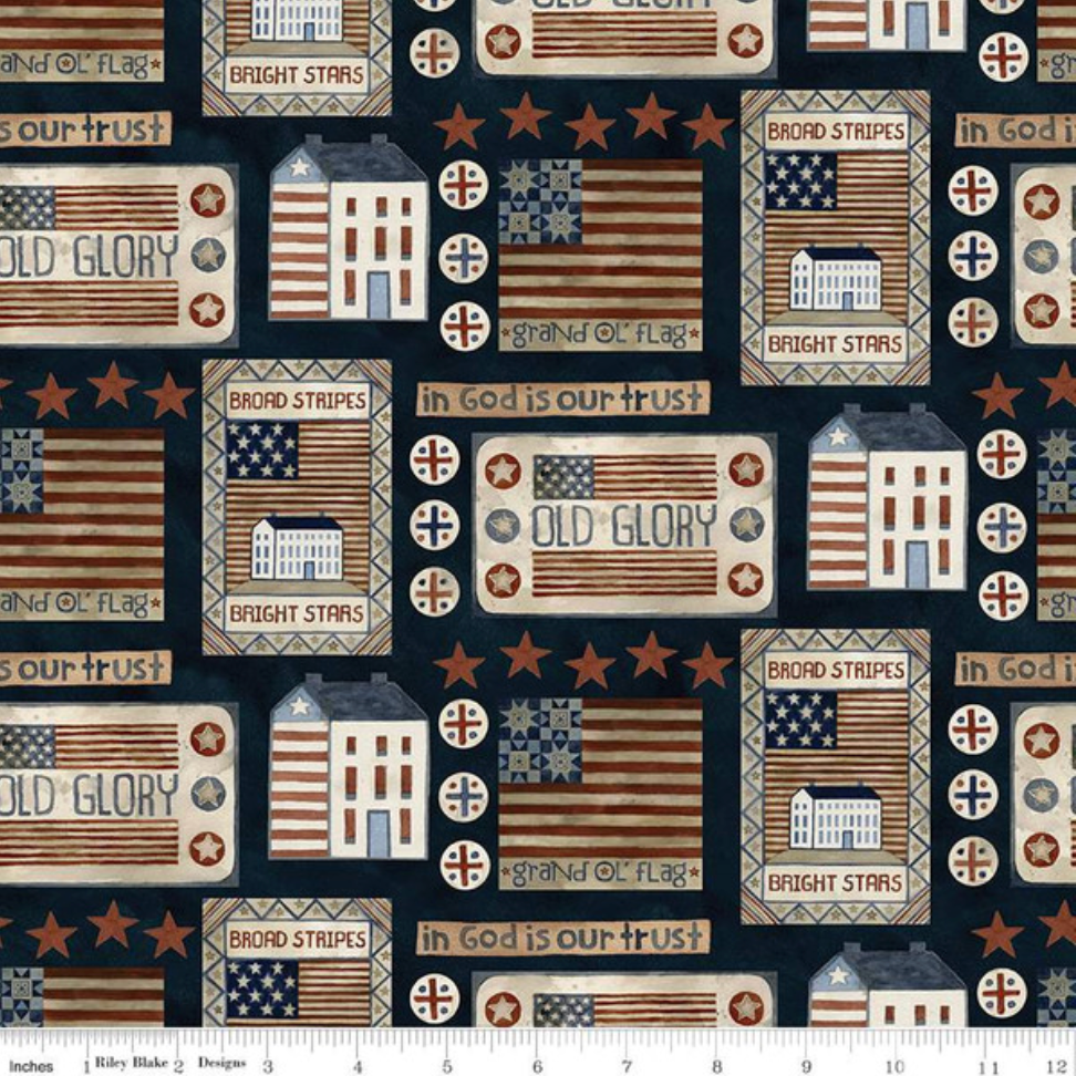 Teresa Kogut Bright Stars ~  Houses and Flags C13101-Navy