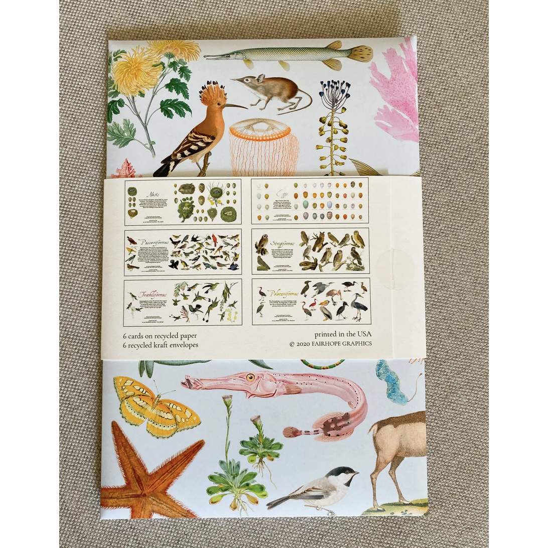 Fairhope Graphics ~ Birds Card Pack
