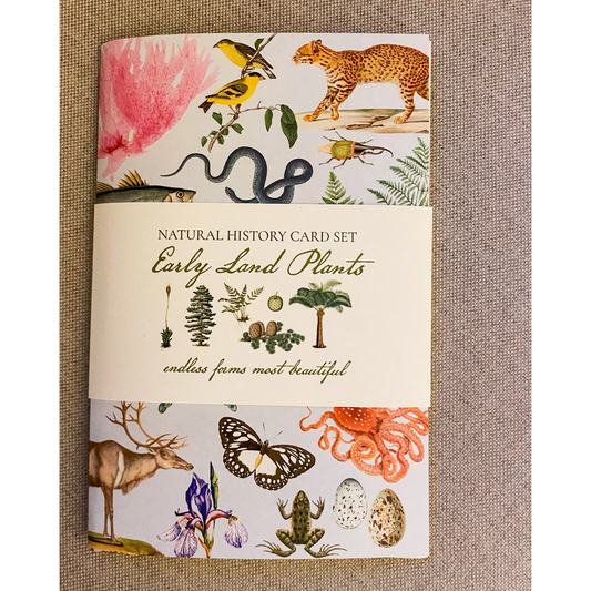Fairhope Graphics ~ Early Land Plants Card Pack
