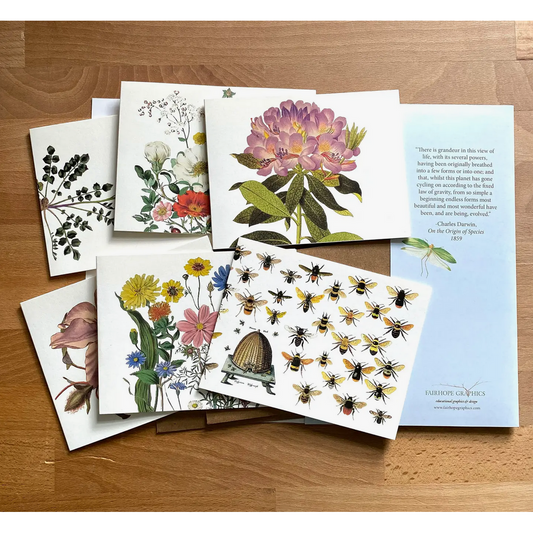 Fairhope Graphics ~ Garden Card Pack