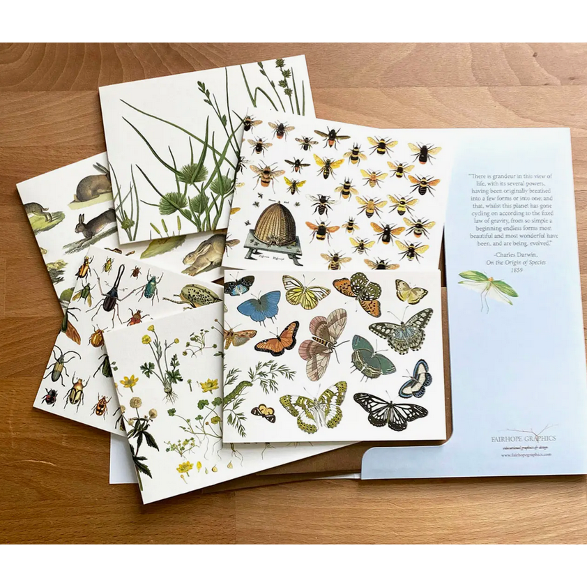 Fairhope Graphics ~ Meadow Card Pack