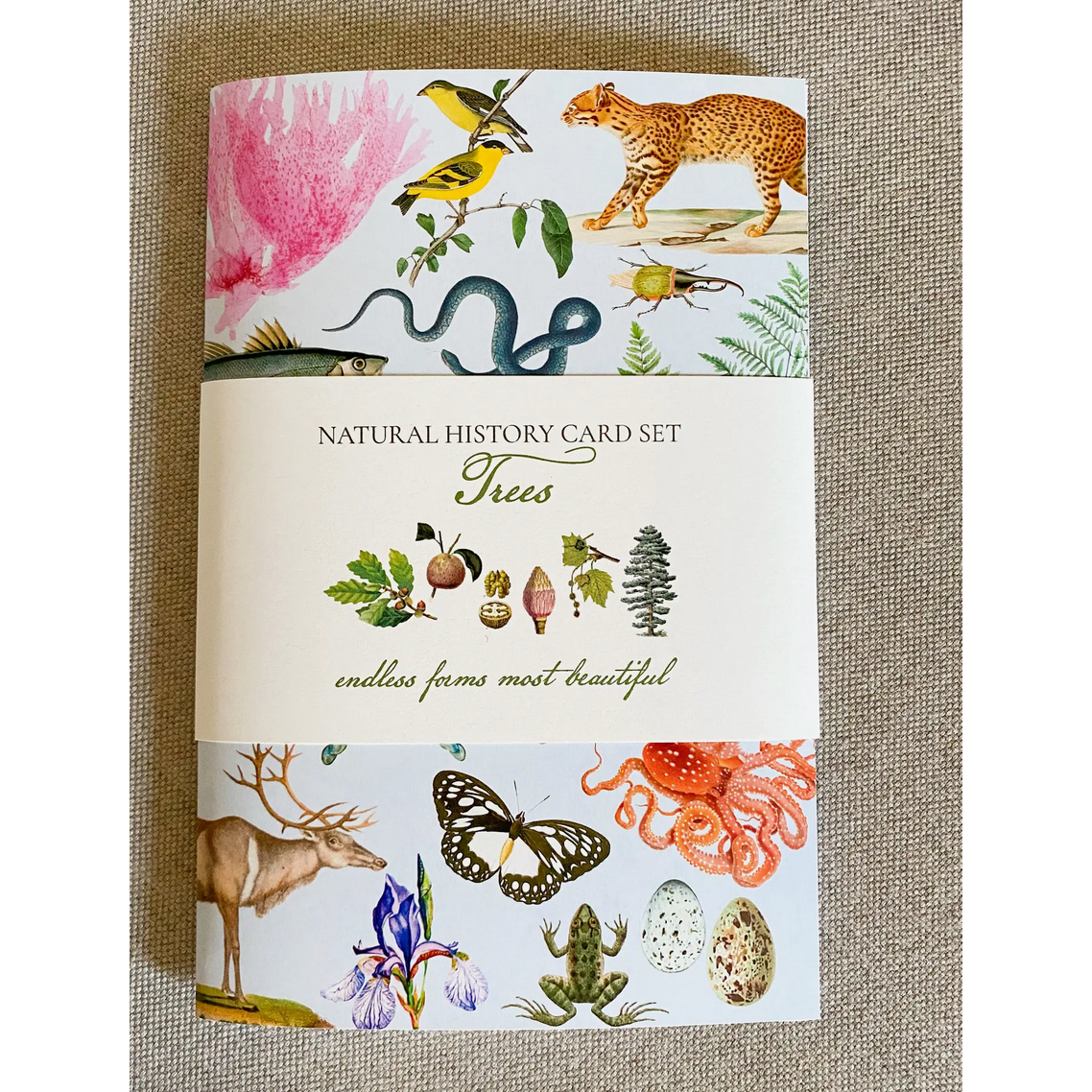 Fairhope Graphics ~ Trees Card Pack