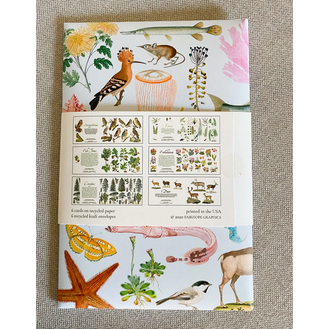 Fairhope Graphics ~ Woodland Card Pack