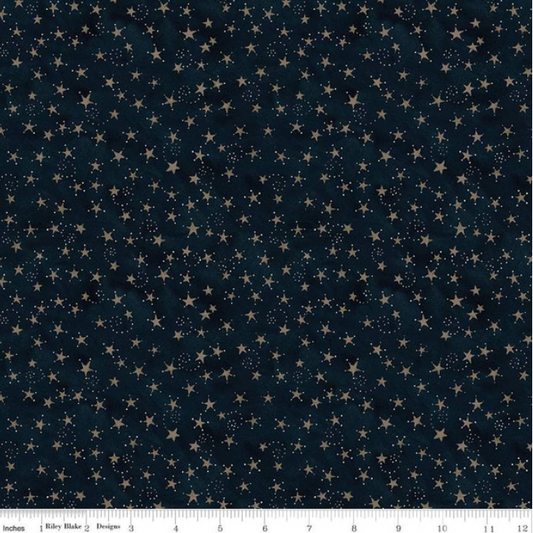 Teresa Kogut Bright Stars ~  Stars C13106-Navy
