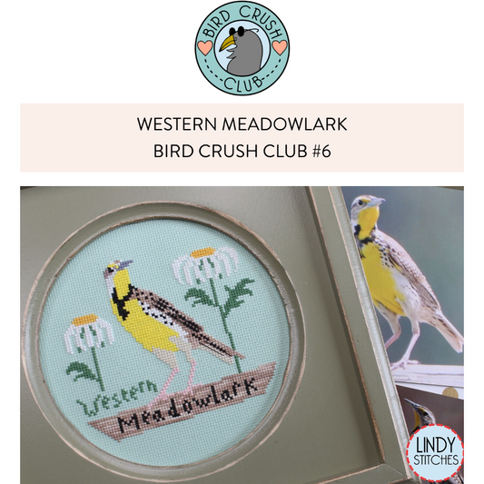 Lindy Stitches ~ Bird Crush Club #6 Western Meadowlark