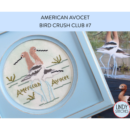 Lindy Stitches ~ Bird Crush Club #7 American Avocet
