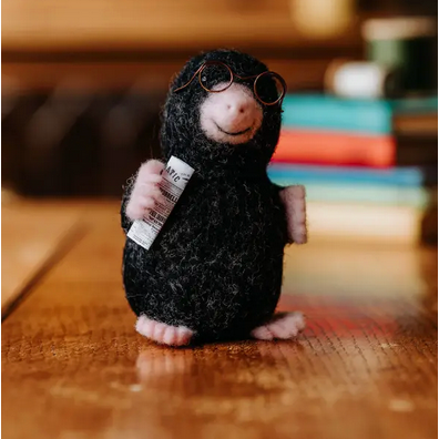 The Crafty Kit Company ~ Mr. Mole Needle Felting Kit