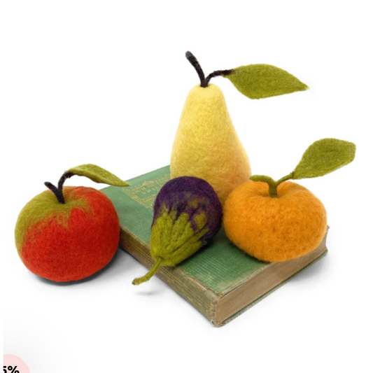 The Crafty Kit Company ~ Seasonal Fruits Needle Felting Kit