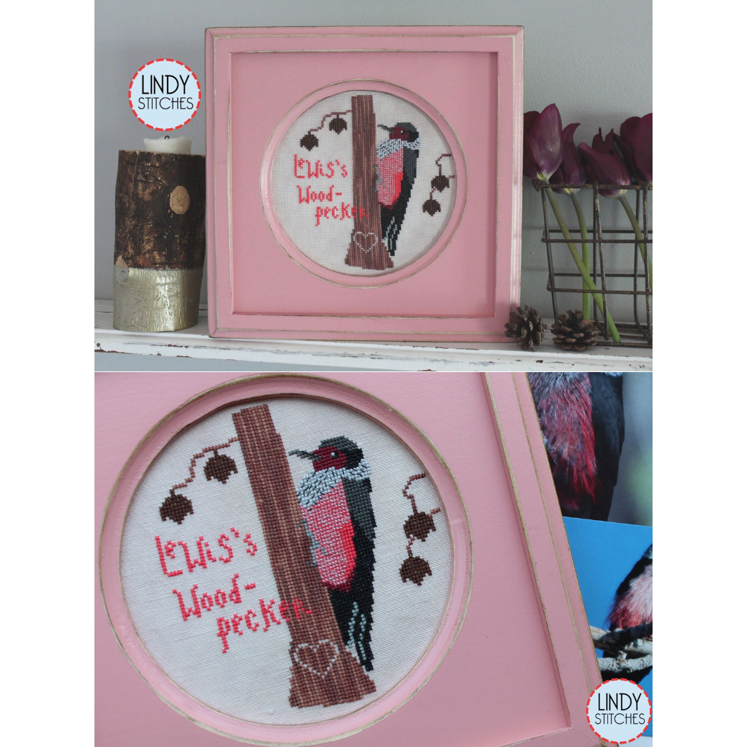 Lindy Stitches ~ Lewis's Woodpecker - Bird Crush Club #8 – Hobby House