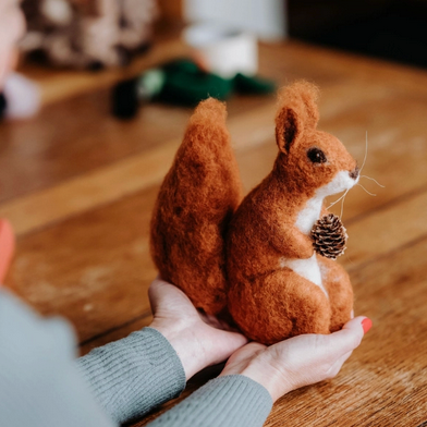 The Crafty Kit Company ~ Red Squirrel Needle Felting Kit