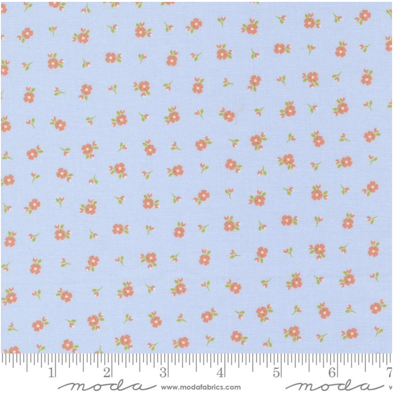 Peachy Keen ~ Light Blue 29175 14